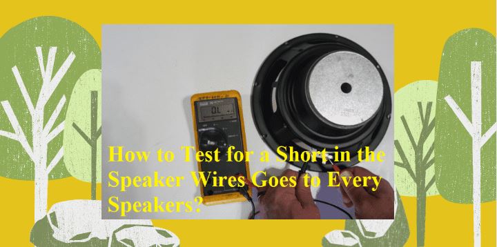How-to-Test-for-a-Short-in-the-Speaker-Wires-Goes-to-Every-Speakers